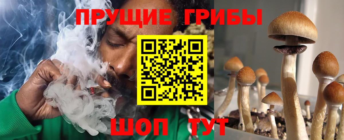 закладка  Вход с VPN  Кудымкар  Псилоцибиновые грибы MAGIC MUSHROOMS 