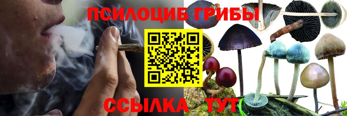 Псилоцибиновые грибы ЛСД Кудымкар